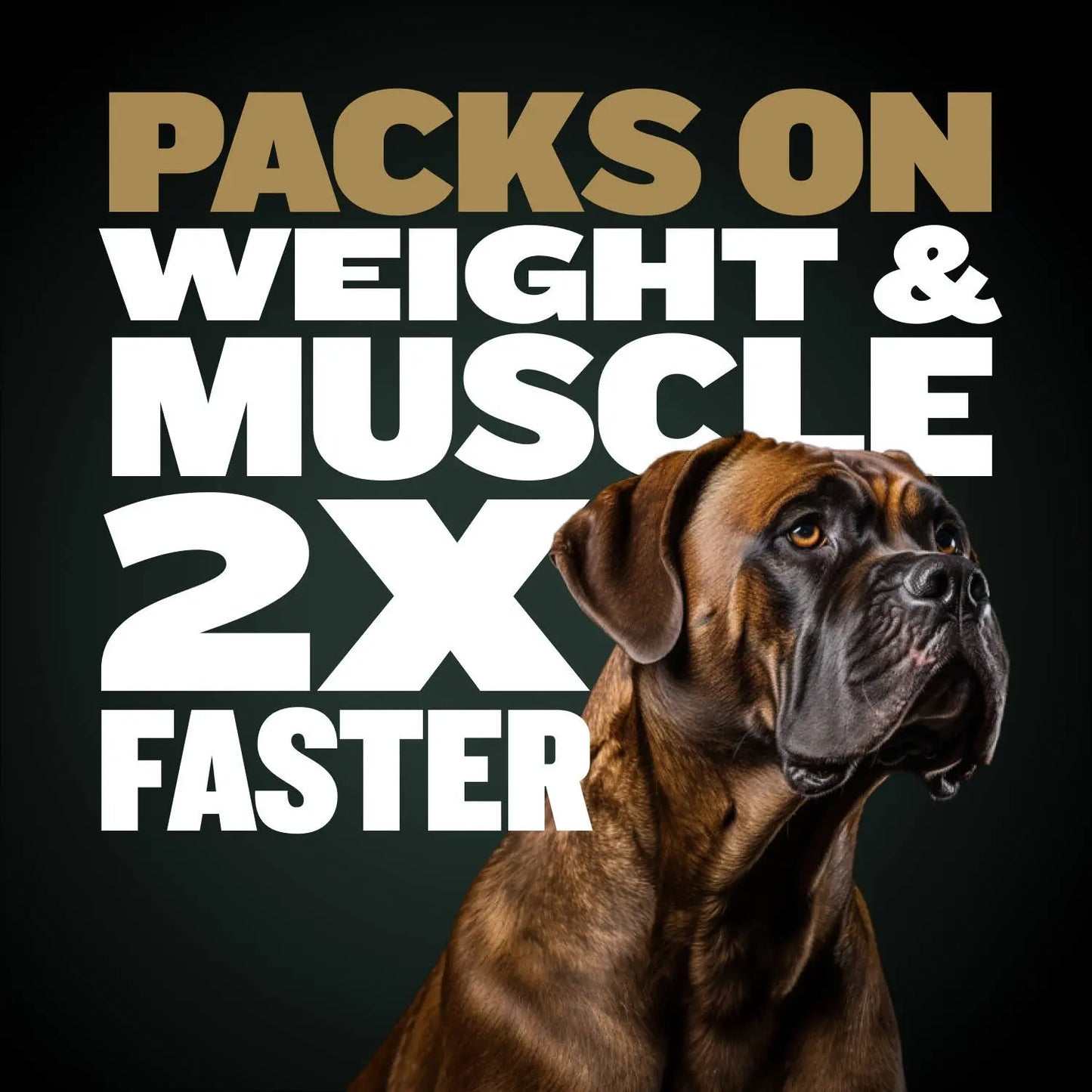 Bully Max Pro 11-In-1 Muscle Gain Power Chews - 75 Chews