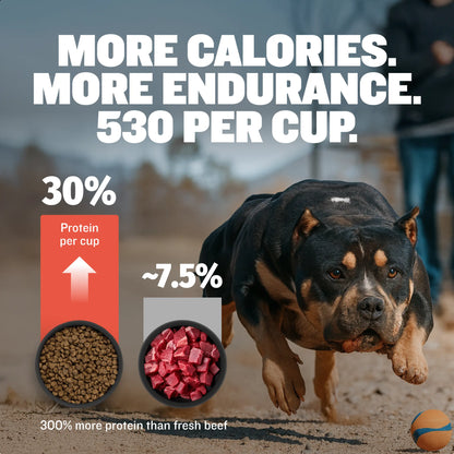 Bully Max 30/20 High Protein Beef Dog Food 15 Lbs - High Performance Filler-Free Formula - Supports Muscle Gain & Health - 530 Calories per Cup - No Corn, Wheat, or By-Products