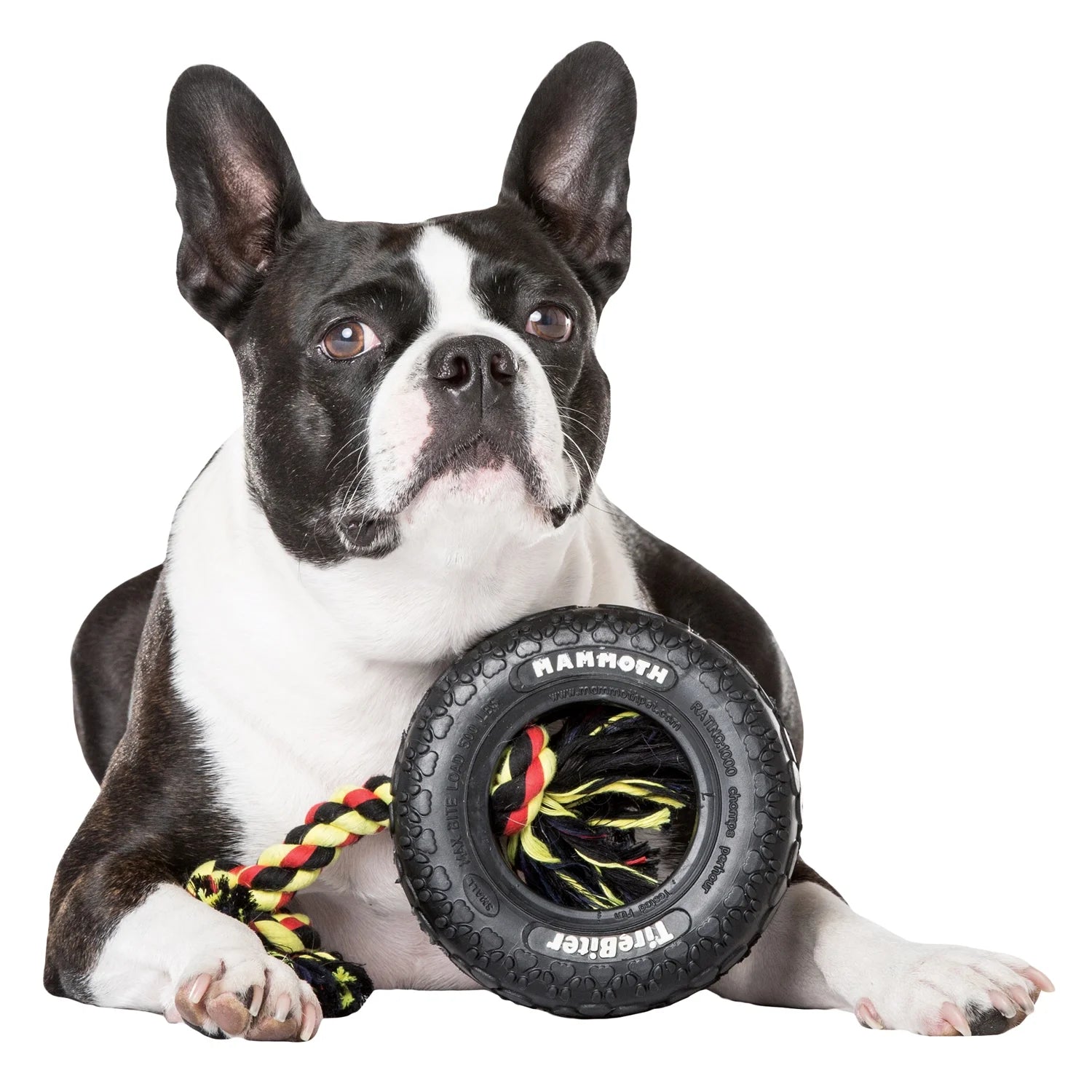 Rubber Tirebiter Dog Toy with Cottonblend Assorted Color Rope