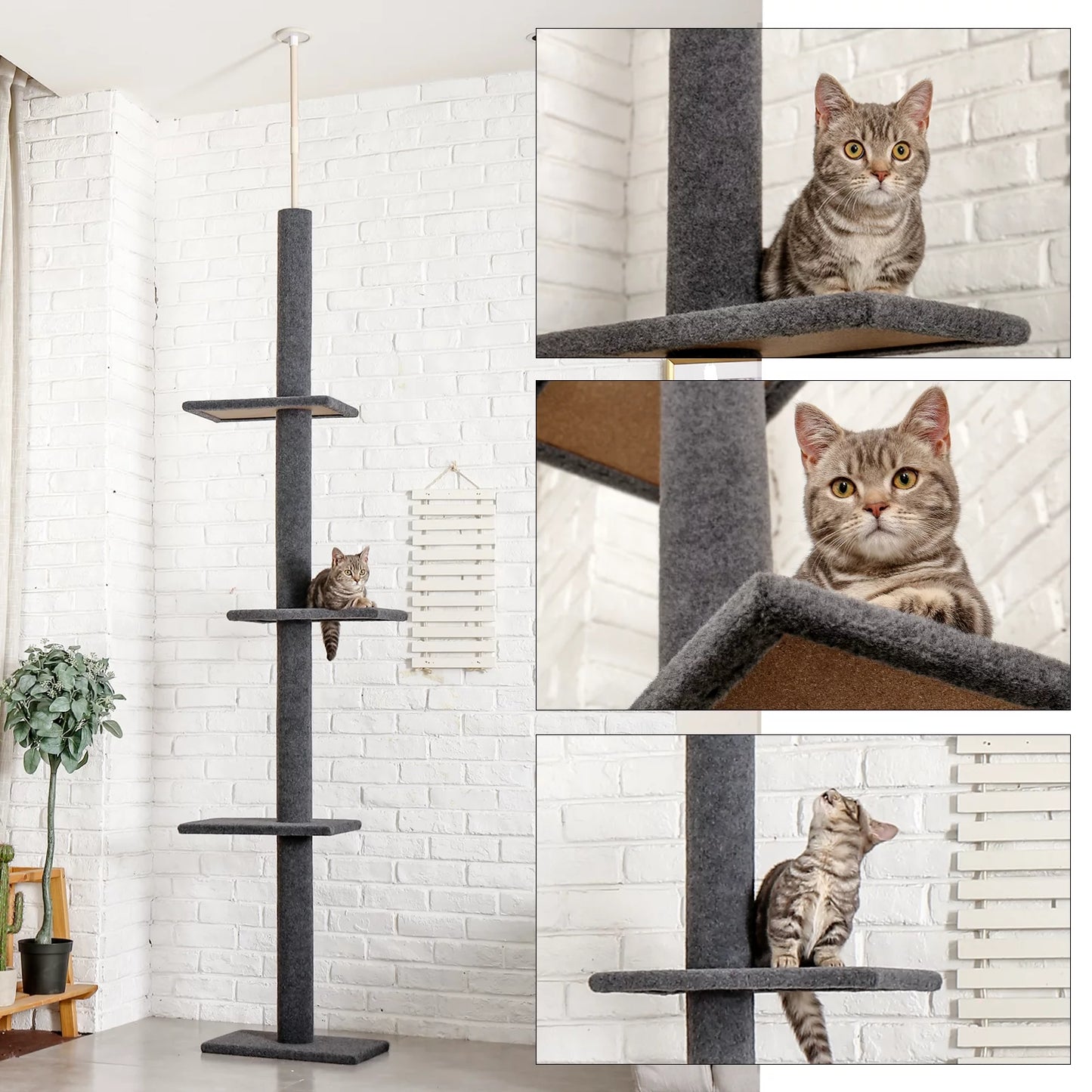 Tall Adjustable 4 Tier Tree Tower for Cat Climbing 