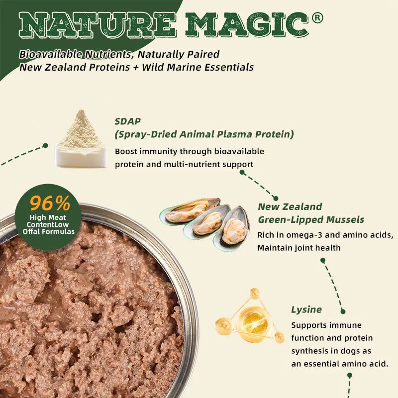 Lamb & Salmon Grain-Free Wet Dog Food 