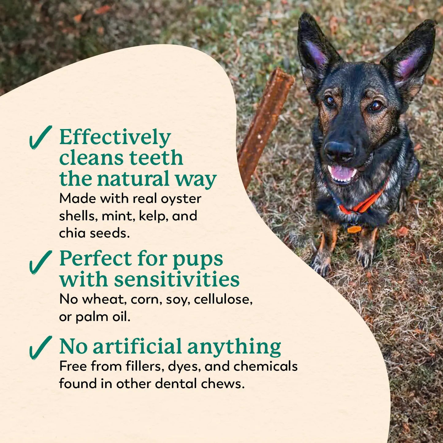 Dental Chews for Dogs Teeth Cleaning & Fresh Breath Treats Sweet Potato Mint Flavor (24 Sticks)