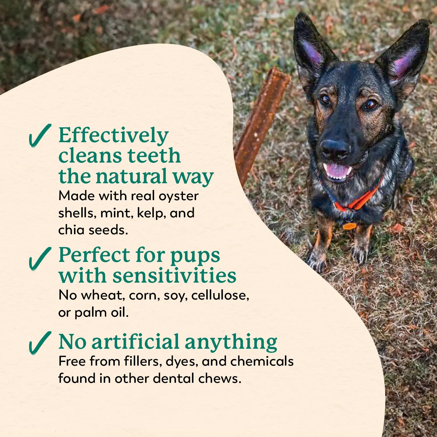 Dental Chews for Dogs Teeth Cleaning & Fresh Breath Treats Sweet Potato Mint Flavor (24 Sticks)