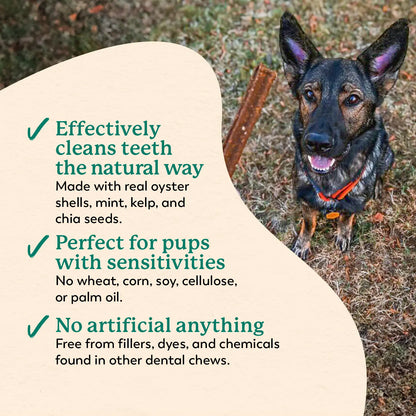 Dental Chews for Dogs Teeth Cleaning & Fresh Breath Treats Sweet Potato Mint Flavor (24 Sticks)