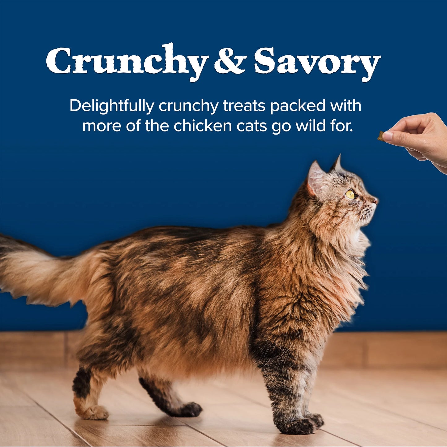 Wilderness Crunchy Cat Treats Chicken Flavor (12oz)