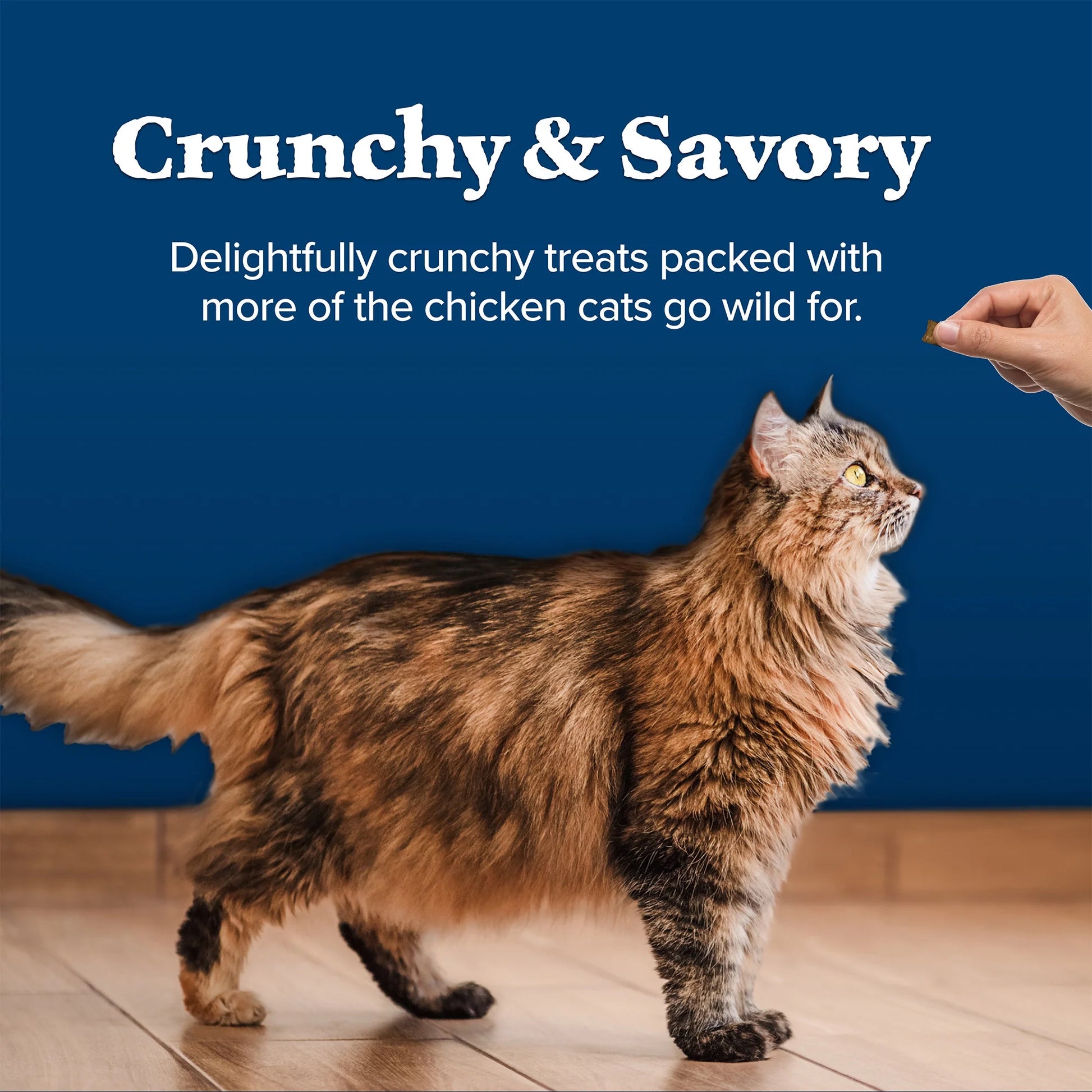 Wilderness Crunchy Cat Treats Chicken Flavor (12oz)