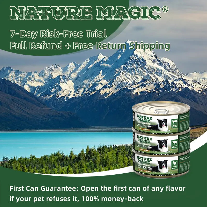 Lamb & Salmon Grain-Free Wet Dog Food 