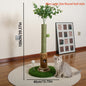 Interactive Scratching Tree with Hanging Ball & Mouse 