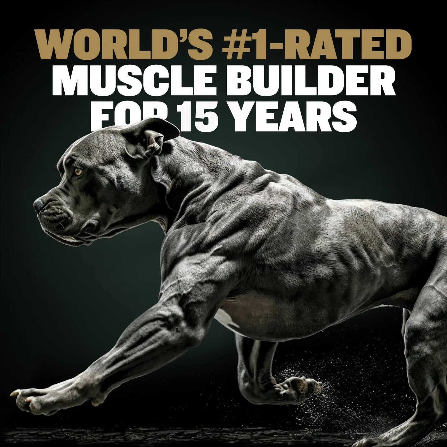 Bully Max Pro 11-In-1 Muscle Gain Power Chews - 75 Chews