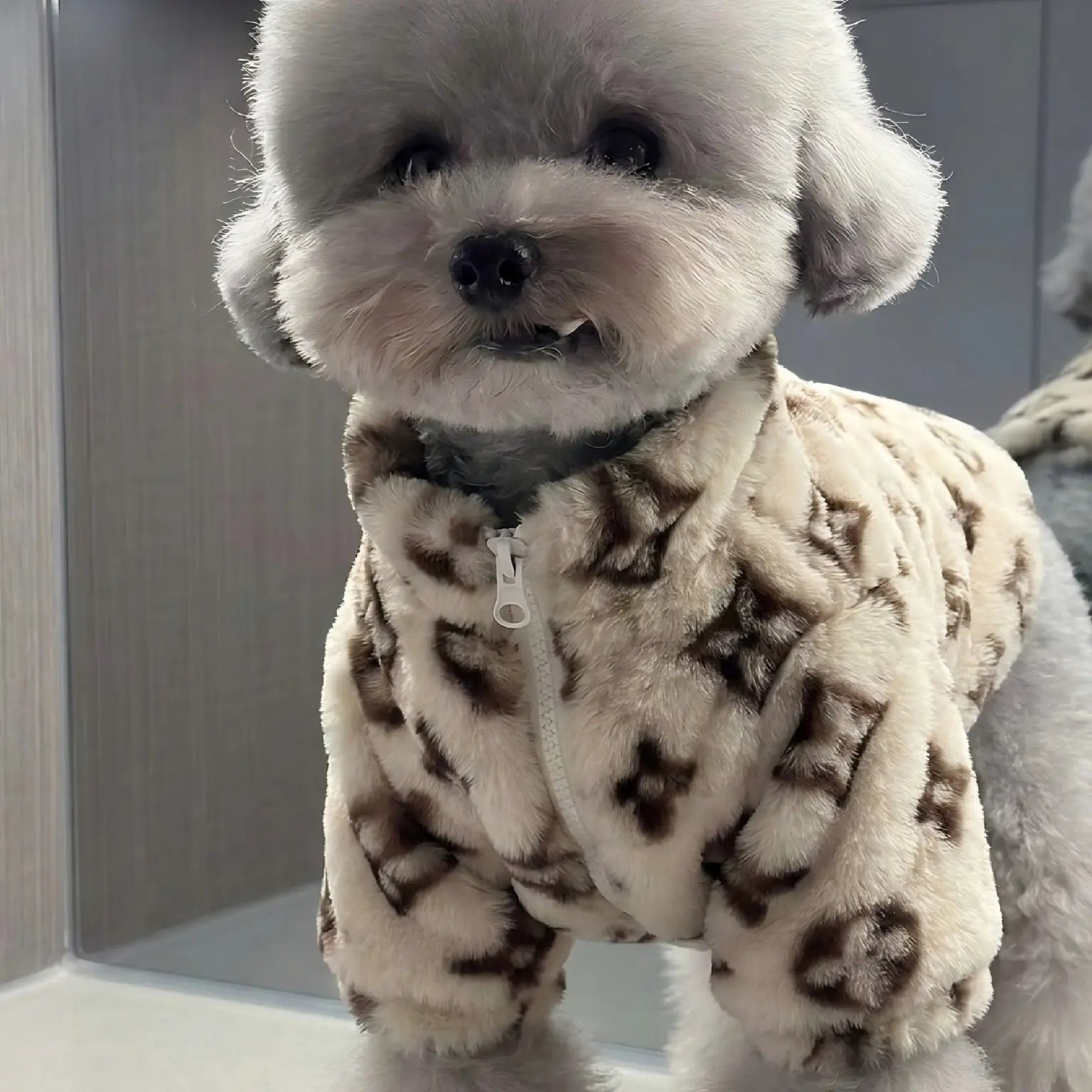  Designer Faux Fur Pet Jacket 