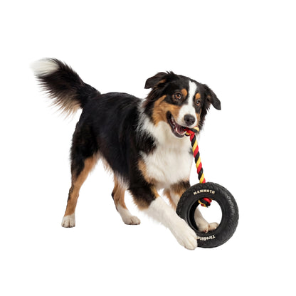 Rubber Tirebiter Dog Toy with Cottonblend Assorted Color Rope