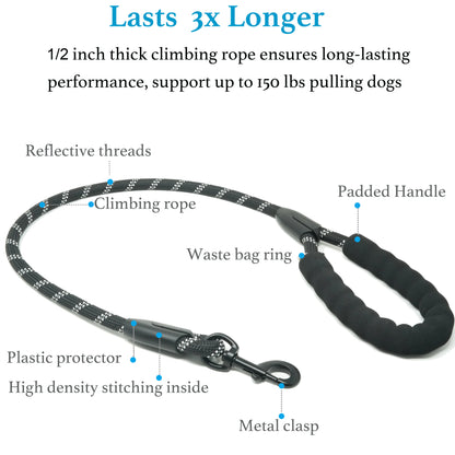  Dual 360 Swivel No Tangle Pet Leash Shock Absorbing Bungee 
