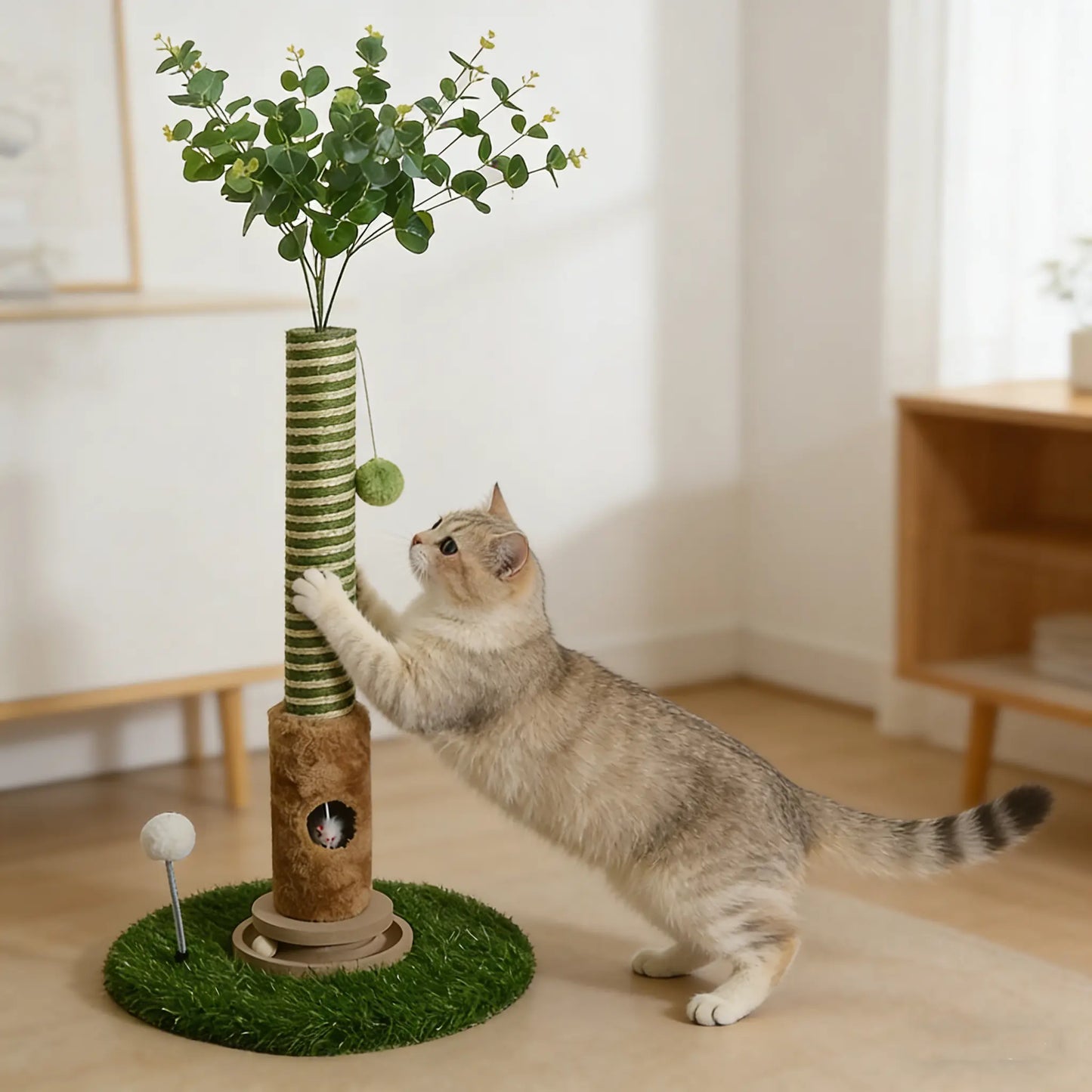 Interactive Scratching Tree with Hanging Ball & Mouse 