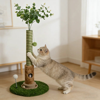 Interactive Scratching Tree with Hanging Ball & Mouse 