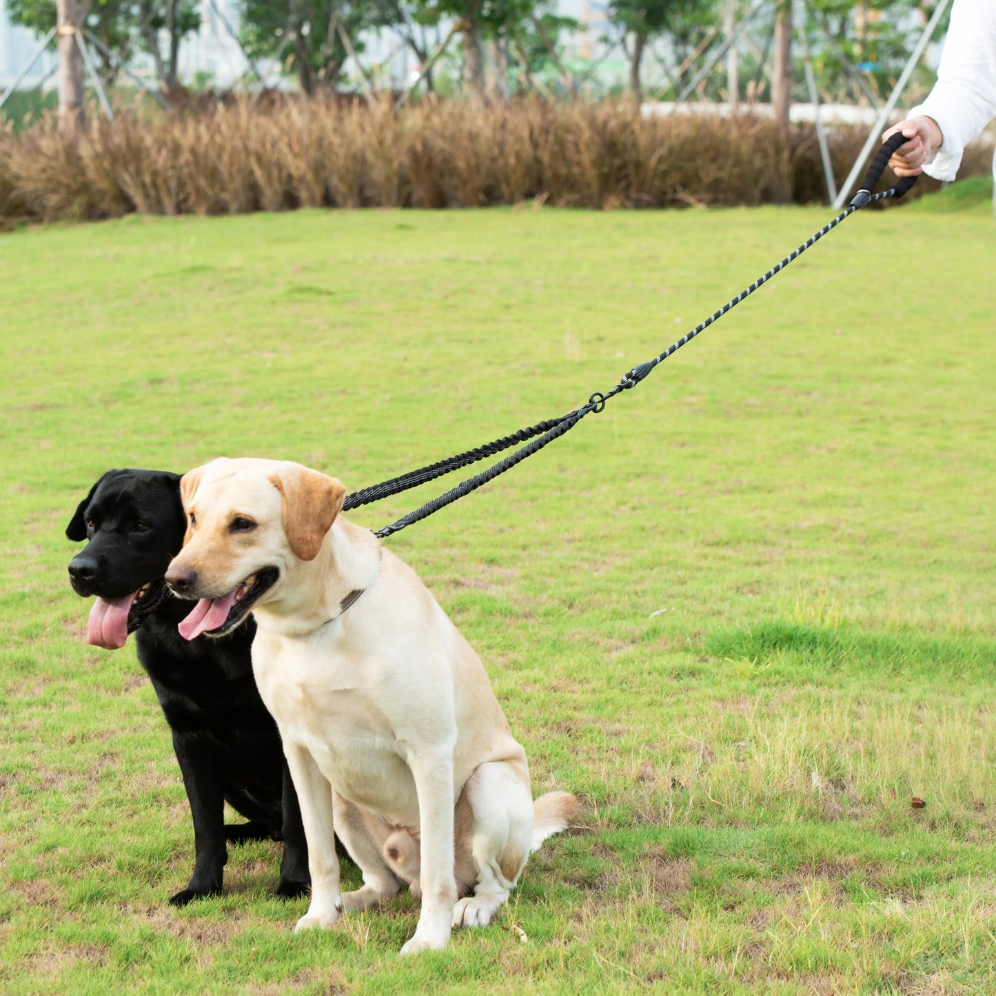  Dual 360 Swivel No Tangle Pet Leash Shock Absorbing Bungee 