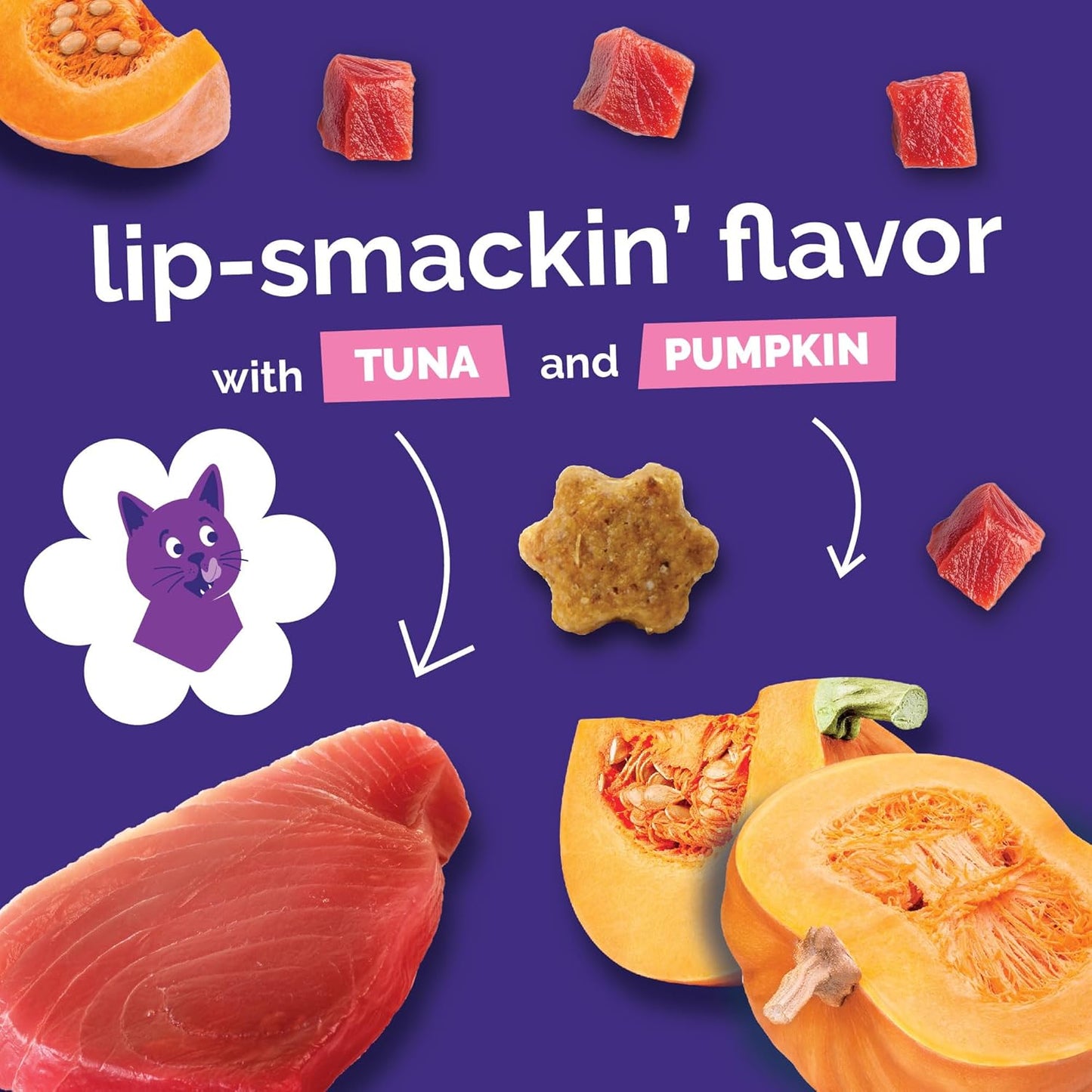 Healthy Treats for Cats Crunchy Biscuits Made with Real Tuna and Pumpkin (2.5Oz)